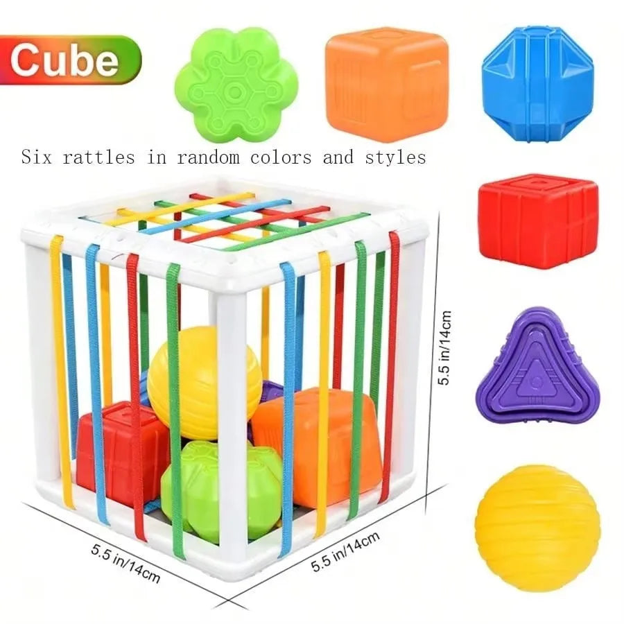 Montessori Shape Sorter Sensory Toy for Toddlers – Motor Skills, Ages 1–2 Years