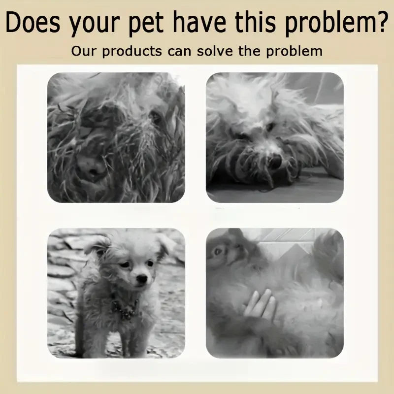 Pet Shampoo for Dogs & Cats – Cleans Fur, Removes Odor, Long-Lasting Fragrance, 250g