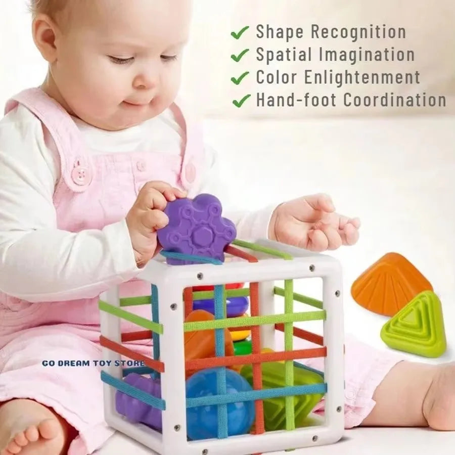 Montessori Shape Sorter Sensory Toy for Toddlers – Motor Skills, Ages 1–2 Years