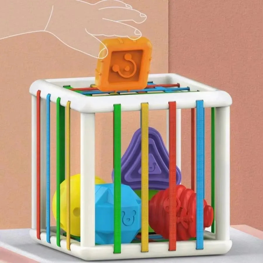Montessori Shape Sorter Sensory Toy for Toddlers – Motor Skills, Ages 1–2 Years