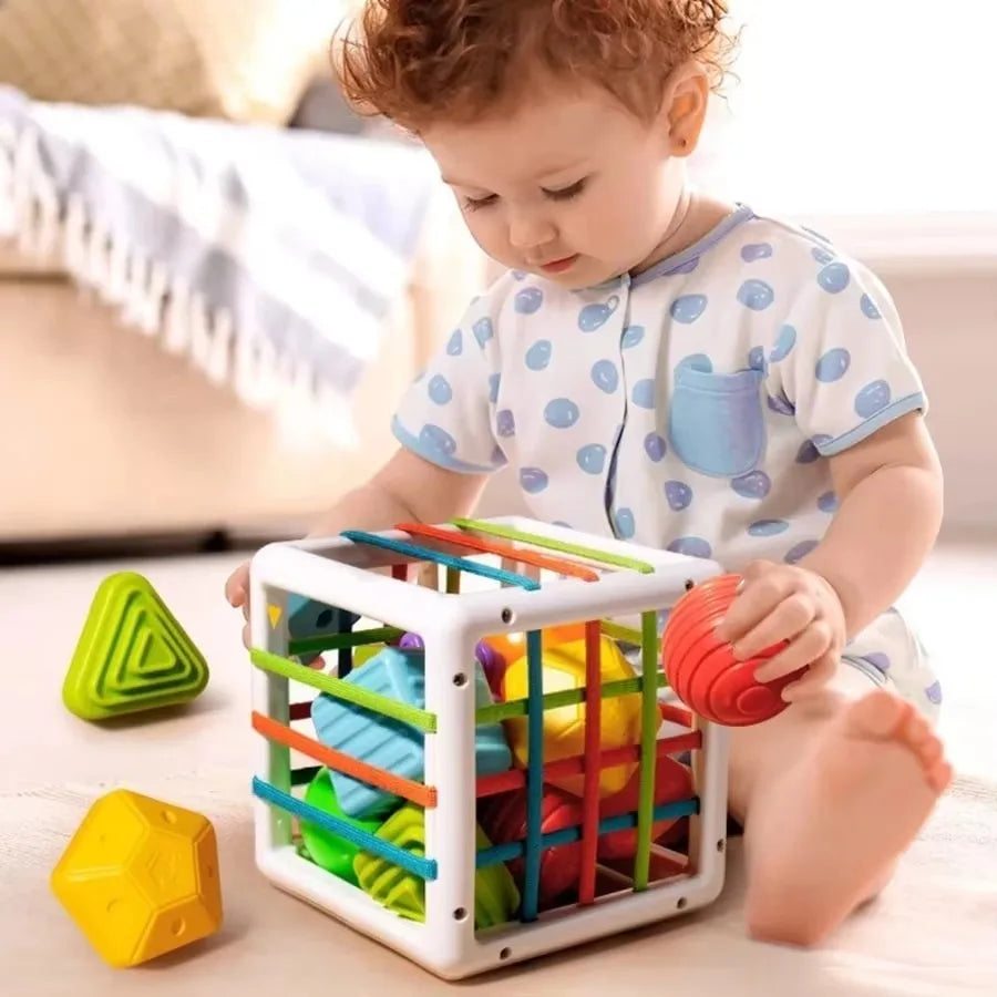 Montessori Shape Sorter Sensory Toy for Toddlers – Motor Skills, Ages 1–2 Years