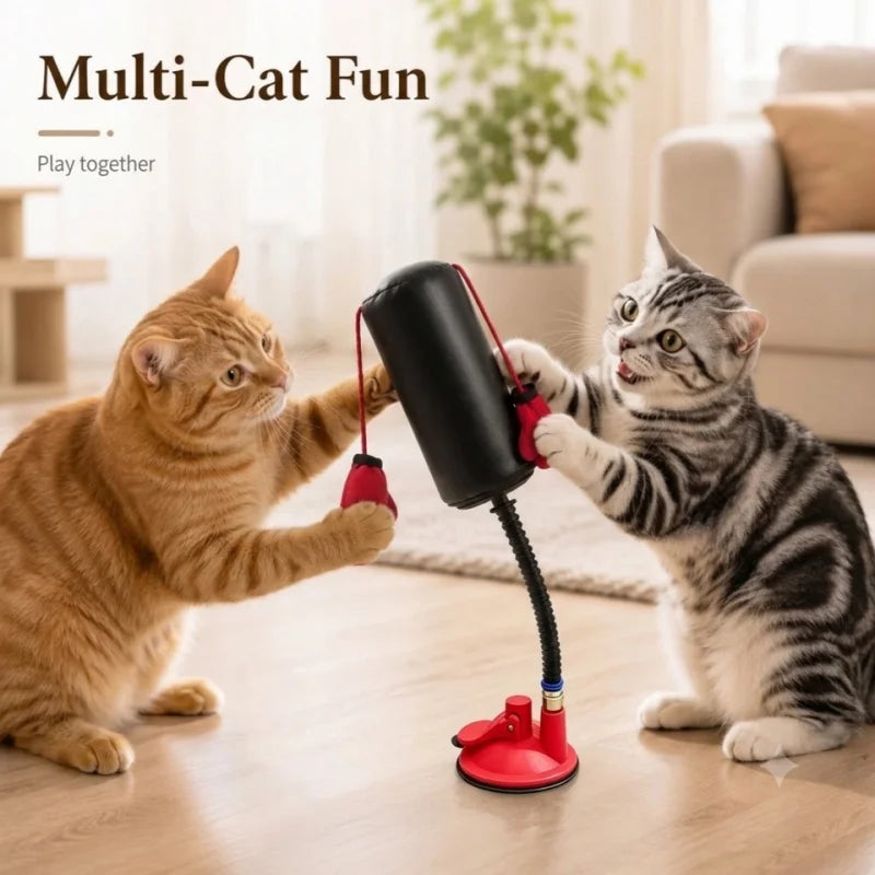Interactive Cat Boxing Toy | Suction Base Spring Speed Bag for Indoor Cats