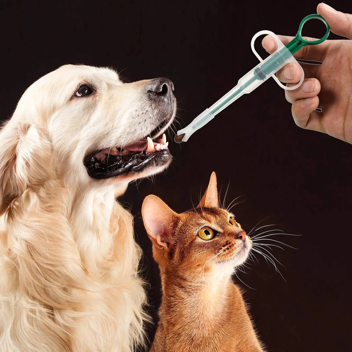 Pet Pill Dispenser & Medication Feeding Stick – For Cats & Dogs, 1-Pack & 3-Pack