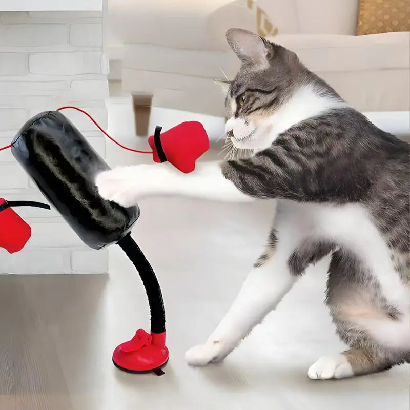Interactive Cat Boxing Toy | Suction Base Spring Speed Bag for Indoor Cats